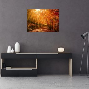 Tablou pe sticlă cu pădurea în toamnă (70x50 cm)