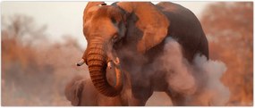 Tablou - Marele elefant african (120x50 cm)