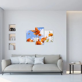 Tablou cu macii (90x60 cm)