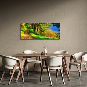 Tablou - poteci pe malul apei (120x50 cm)