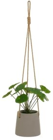 Plantă artificială (înălțime 24 cm) Pilea – Casa Selección