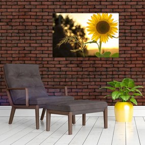 Tablou cu floarea soarelui (90x60 cm)