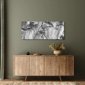 Tablou - Tei,alb-negru (120x50 cm)