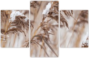 Tablou - Tei (90x60 cm)