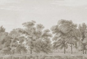 Fototapet, Whispering Forest, Beige, Rebel Walls