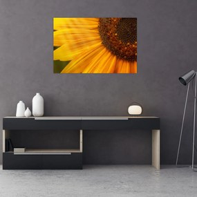 Tablou - Floarea-soarelui (90x60 cm)