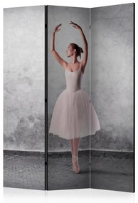 Paravan - Ballerina in Degas paintings style [Room Dividers]