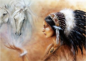 Tablou - Farmecele indienilor (70x50 cm)