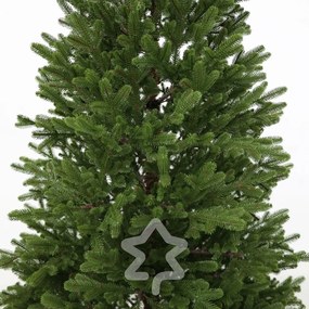 Molid Natura 100% 210 cm