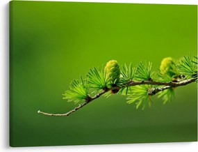 Tablou con verde (70x50 cm)