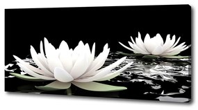 Print pe canvas Nuferi