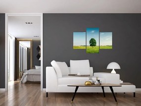 Tablou cu copaci pe luncă (90x60 cm)