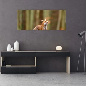 Tablou - Vulpe (120x50 cm)