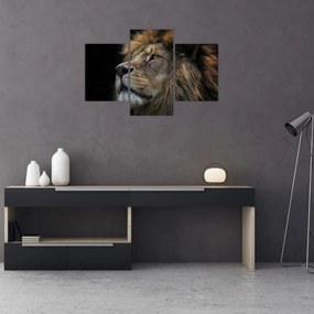 Tablou - Leul maiestuos (90x60 cm)