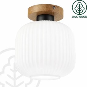 Plafonieră HARMA WOOD 1xE27/15W/230V stejar/alb Ø 20 cm