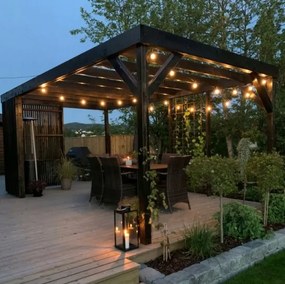 Ghirlandă decorativă LED pentru exterior 20xE27/1W/230V 11,44 m IP44 negru