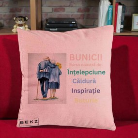 Cadou pentru Bunici - Perna Personalizata Bunicii Sursa Intelepciune Caldura Acuarela, 40x40 cm, Roz, Husa Detasabila, Perna Inclusa, BEKZ®