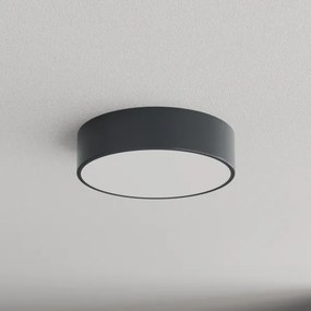 Brilagi - Plafonieră pentru baie CLARE 2xE27/24W/230V Ø 30 cm antracit IP54