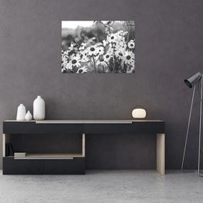 Tablou pe sticlă - Margarete (70x50 cm)