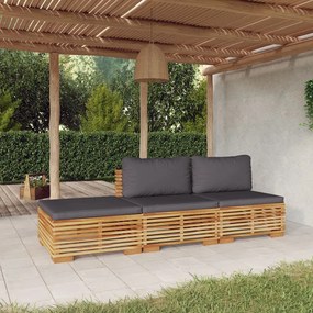 3100904 vidaXL Set mobilier grădină cu perne, 3 piese, lemn masiv de tec