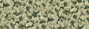 Fototapet, Corals, Green, Rebel Walls