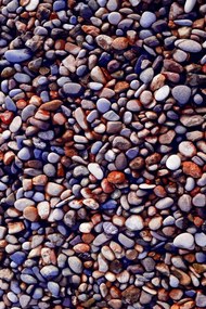Covor Bucatarie WOOKECE188, 60x100 cm, Poliester