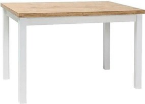 Masa ADAM, stejar/alb, 120x68x75 cm