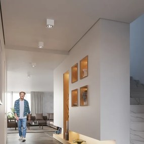 Plafonieră SEIDA 1xGU10/40W/230V