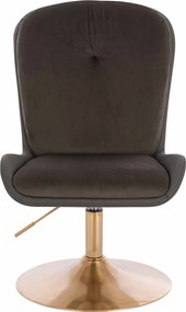 HR690N Scaun Velvet&amp;soft Piele Pu Ciocolată/Cafea Bază Aurie
