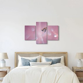 Tablou - Fluture (90x60 cm)
