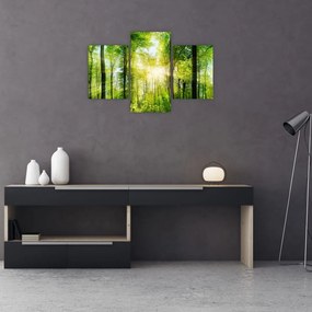 Tablou - Răsărit în pădure (90x60 cm)