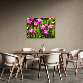 Tablou pe sticlă cu lale pe luncă (70x50 cm)
