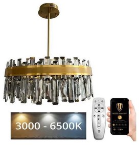 Lustră LED de cristal dimabilă pe tijă LED/80W/230V + telecomandă