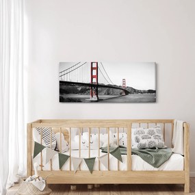 Tablou cu pod (120x50 cm)