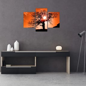 Tablou - Fag la apus de soare (90x60 cm)