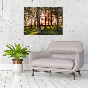 Tablou pe sticlă cu pomi lângă lac (70x50 cm)