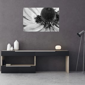 Tablou - Floare în alb-negru (90x60 cm)