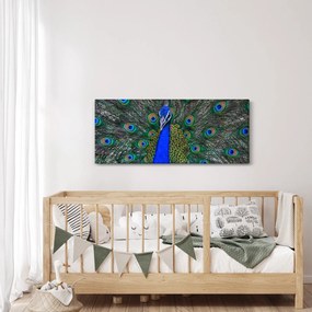 Tablou - Păun (120x50 cm)