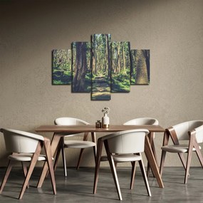 Tablou cu drum între copaci (150x105 cm)