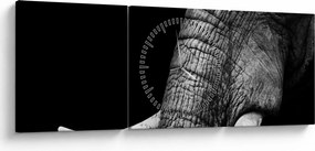 Tablou - Colți de elefant (cu ceas) (90x30 cm)