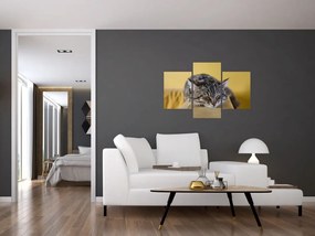 Tablou cu pisica pe fotoliu (90x60 cm)
