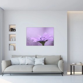 Tablou - Flori mov (90x60 cm)