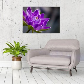 Tablou pe sticlă floarei (70x50 cm)