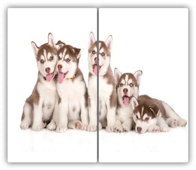 Tocator din sticla catelus husky