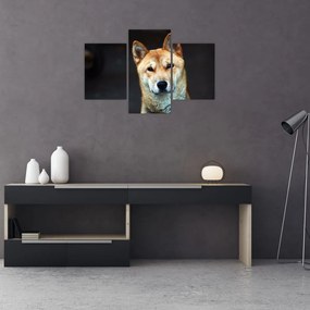 Tablou cu câine (90x60 cm)