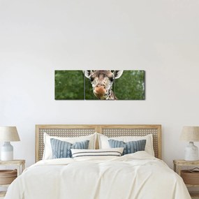Tablou cu girafa (cu ceas) (90x30 cm)