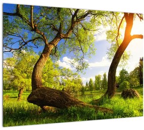 Tablou pe sticlă lunca ne primăvară (70x50 cm)