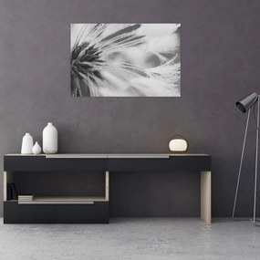 Tablou - Păpădie (90x60 cm)