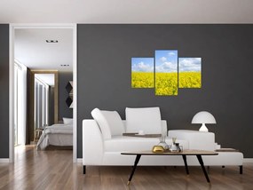 Tablou - Câmp galben (90x60 cm)