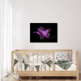 Tablou crinul (70x50 cm)